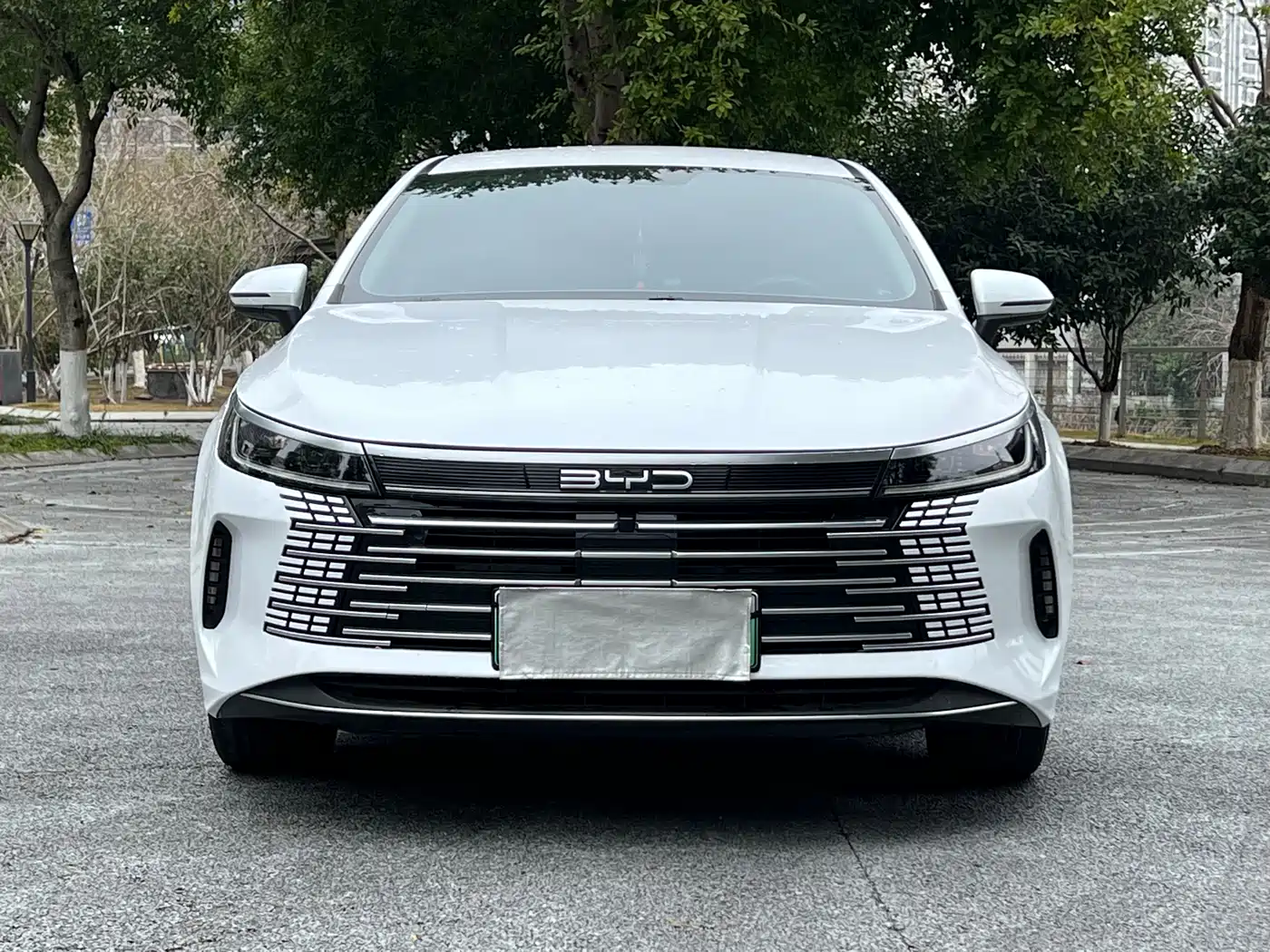BYD Destroyer 05 2023 Champion Edition DM-i 120KM Premium фото 2