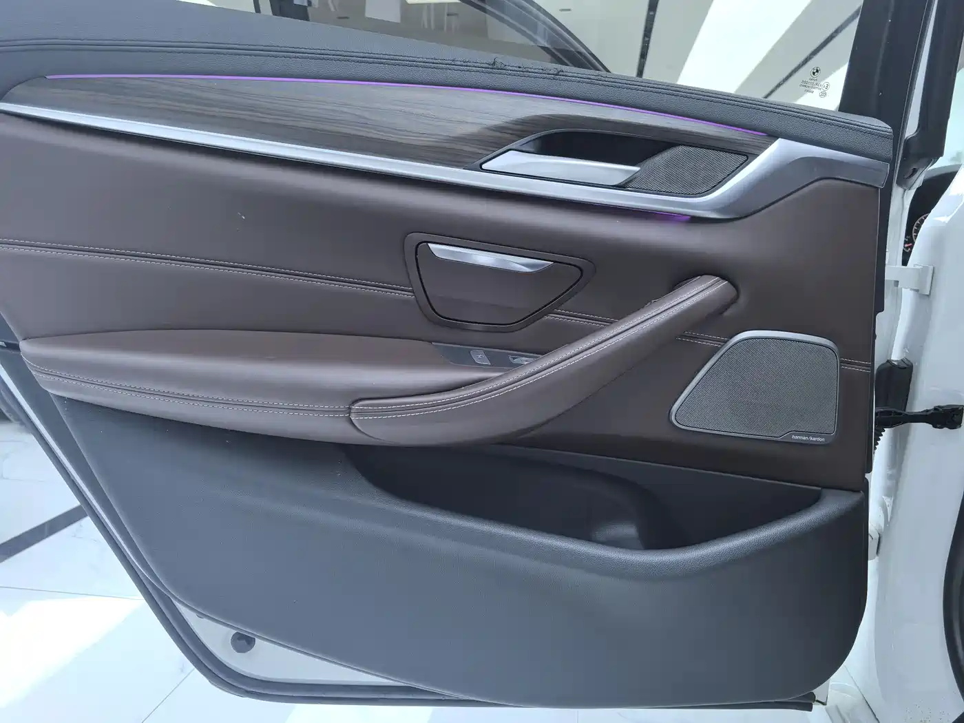 BMW 5 Series 2019 530Li Premium Luxury Package фото 9