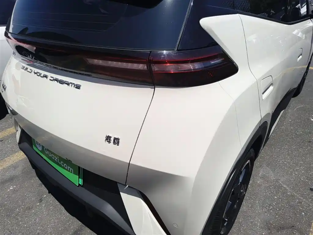 BYD Seagull 2023 Freedom Edition фото 8