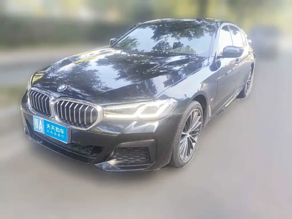 BMW 5 Series 2022 530Li Leading M Sport Package