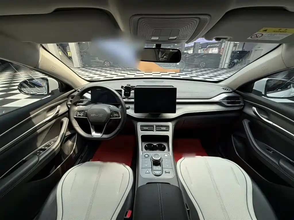 BYD Destroyer 05 2024 Glory Edition DM-i 55KM Luxury фото 12