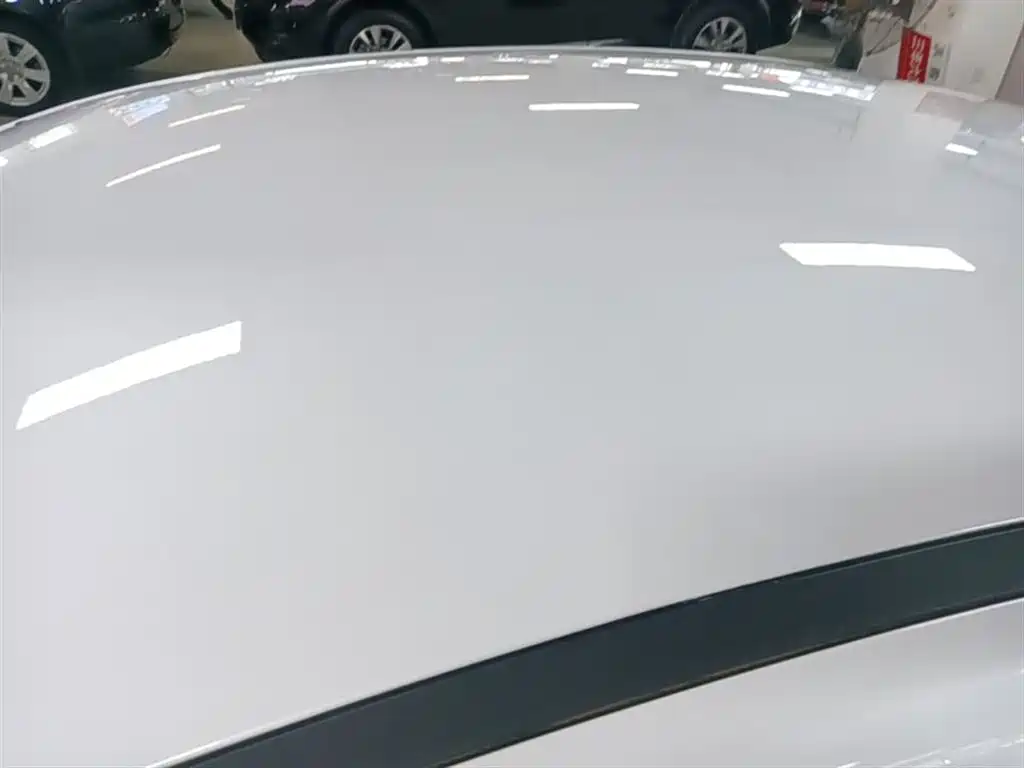 BYD Destroyer 05 2024 Glory Edition DM-i 55KM Luxury фото 26