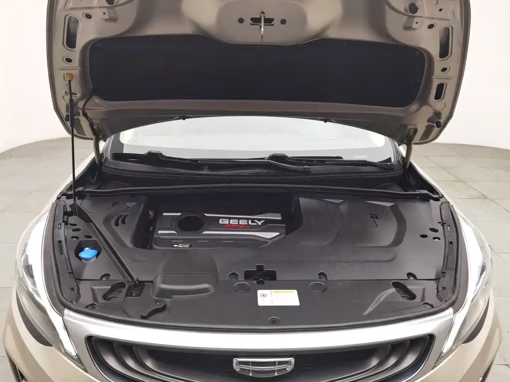 Photo 6 - Geely Emgrand GS