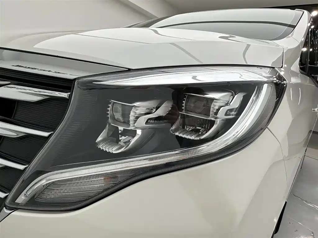 GAC Trumpchi Trumpchi M8 2018 320T Premium Edition фото 29