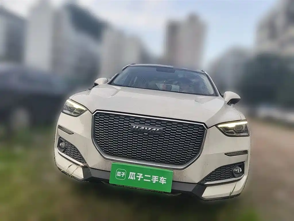 Haval F5 2018 1.5T i-Trend фото 3