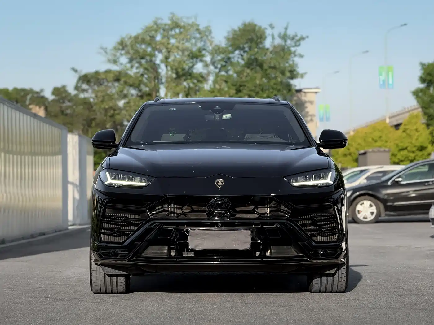 Lamborghini Urus 2018 4.0T V8 фото 2