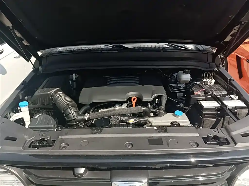 Tank 300 2021 Off-road Edition 2.0T Challenger фото 20