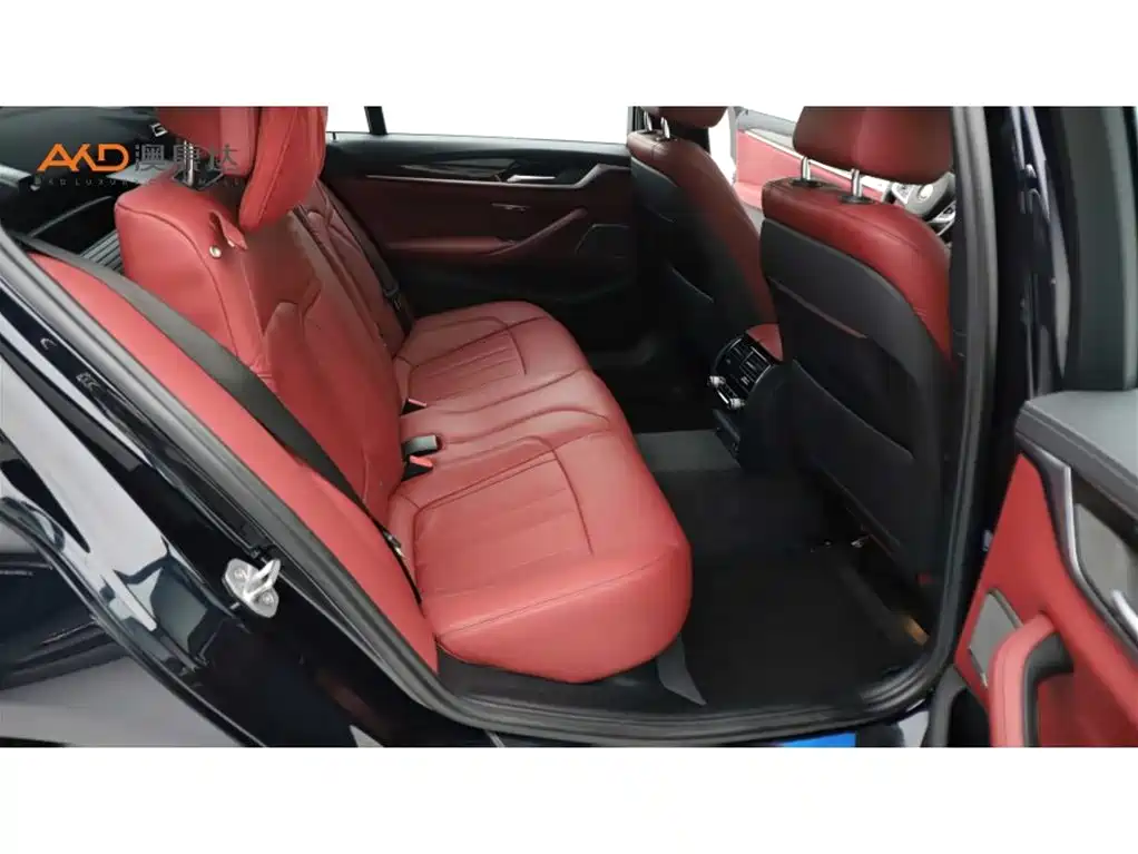 BMW 5 Series 2020 530Li Exclusive M Sport Package фото 8