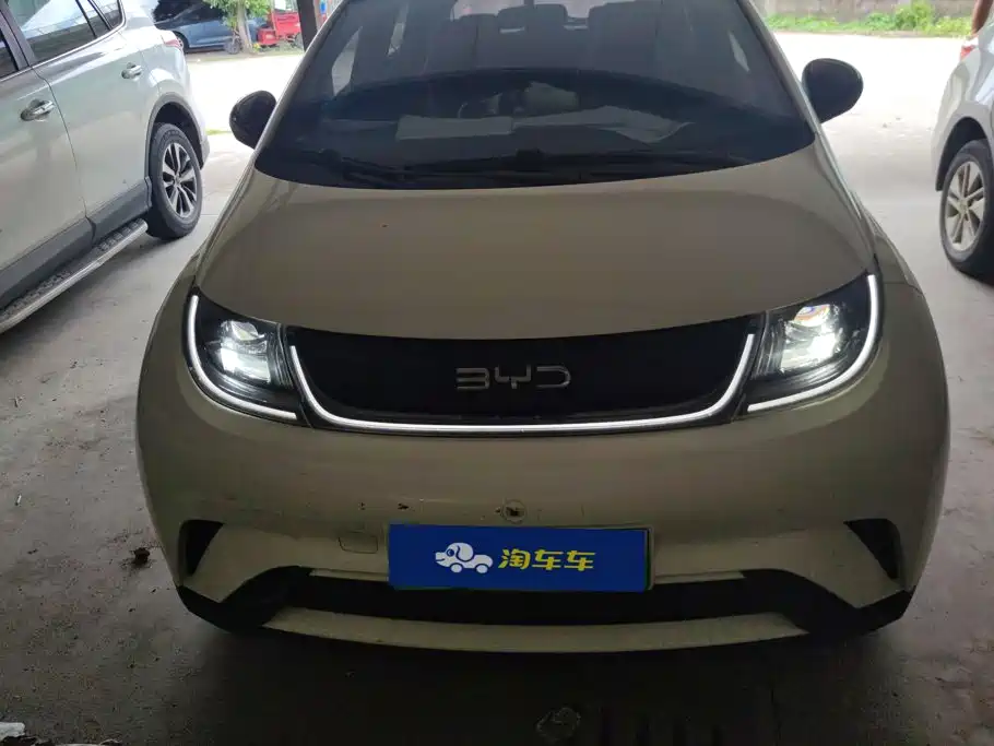 Фото 2 - BYD Dolphin