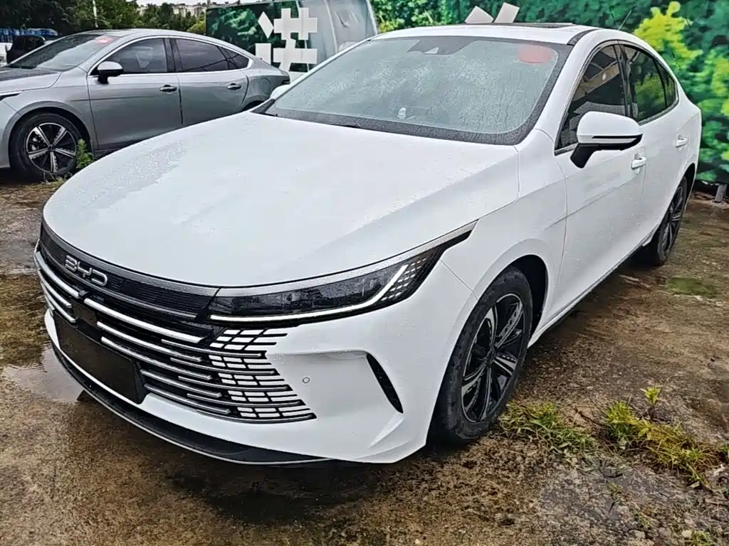 BYD Destroyer 05 2022