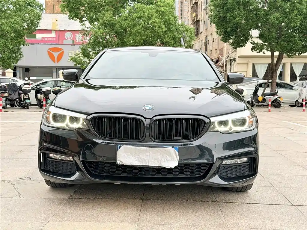 BMW 5 Series 2019 530Li Leading M Sport Package фото 2