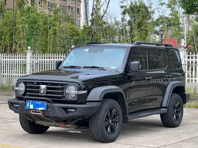 Tank 300