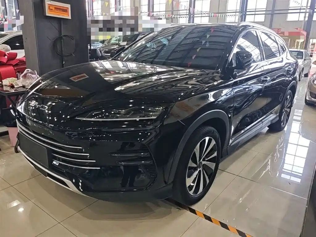 BYD Song PLUS PHEV 2023 Champion Edition DM-i 110KM Flagship фото 2