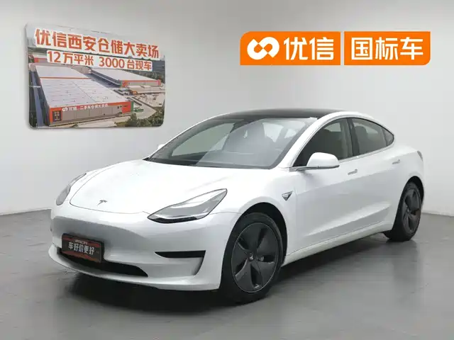 Tesla Model 3 2019 Standard Range Rear-Wheel Drive Upgrade — фото 1
