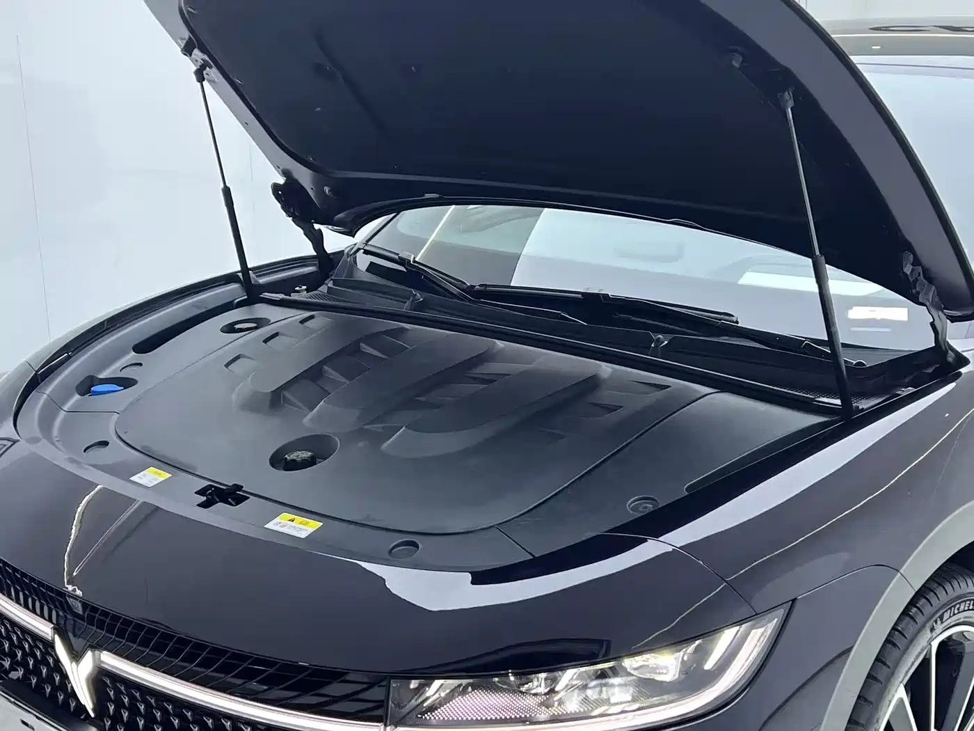 Voyah Auto VOYAH Zhuiguang 2024 PHEV AWD Ultra Long Range Flagship фото 24