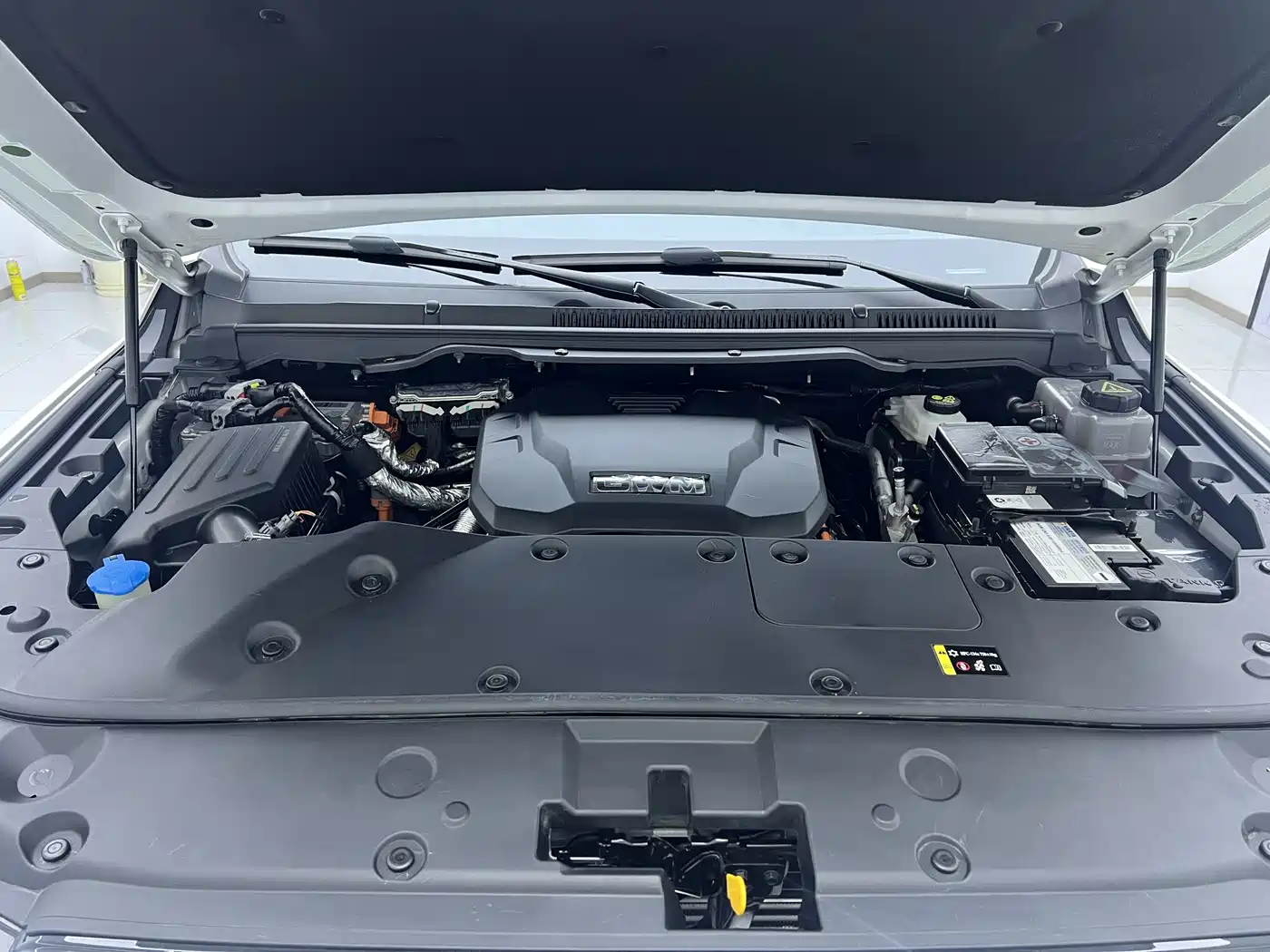 Tank 500 EV 2023 Hi4-T фото 28