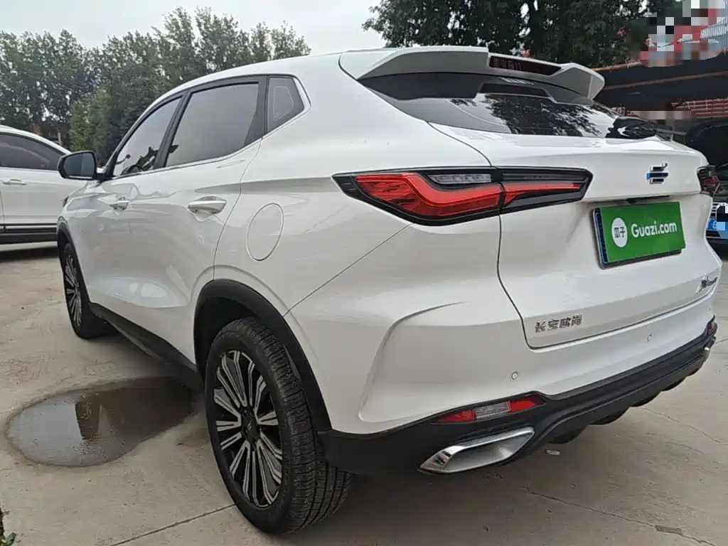 Фото 5 - Changan Oshan Changan Oushang X5