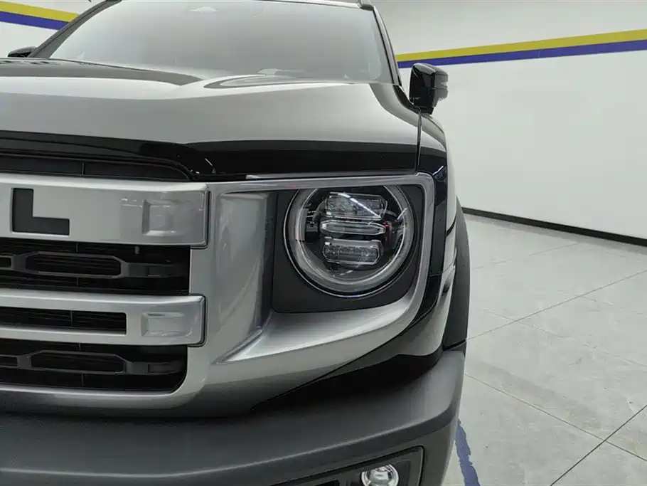 Haval Big Dog 2024 1.5T DCT Border Collie Edition фото 5