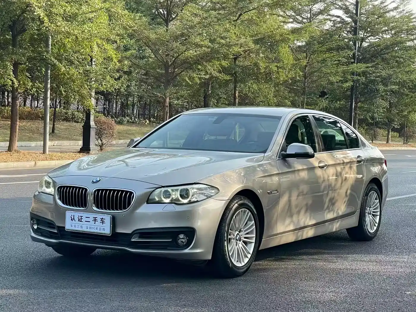 BMW 5 Series 2014 525Li Leading