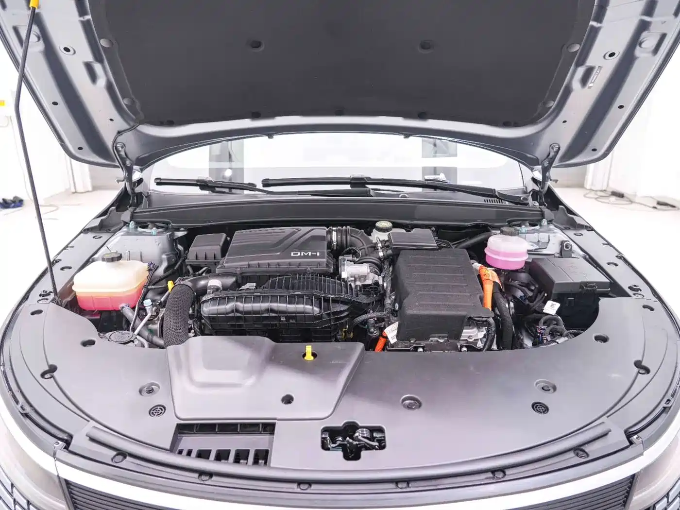 BYD Destroyer 05 2024 Glory Edition DM-i 55KM Luxury фото 15