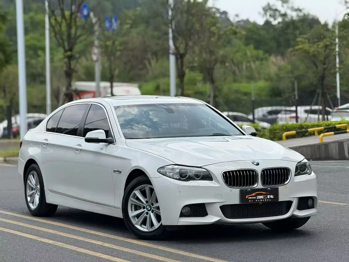 BMW 5 Series 2014 520Li Elegance фото 3