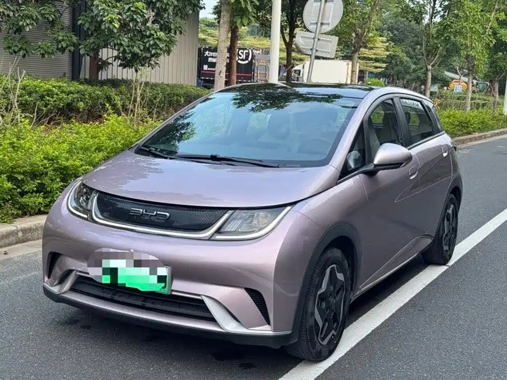 BYD Dolphin 2021