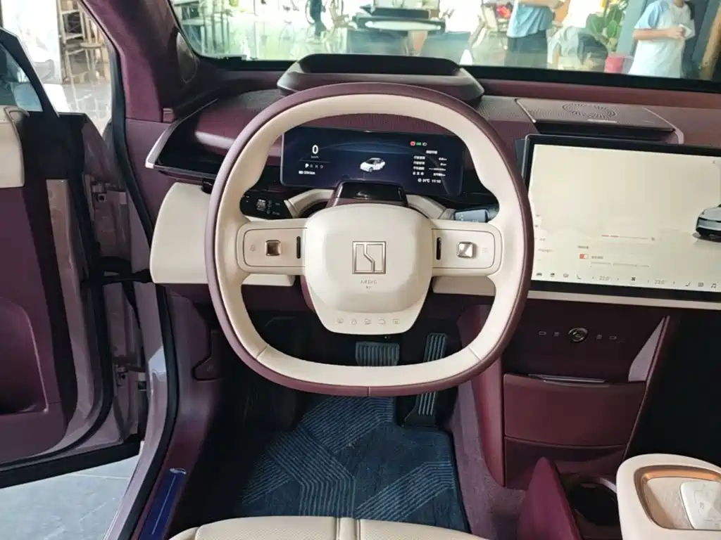 ZEEKR X 2025 2025 5-Seater RWD Edition