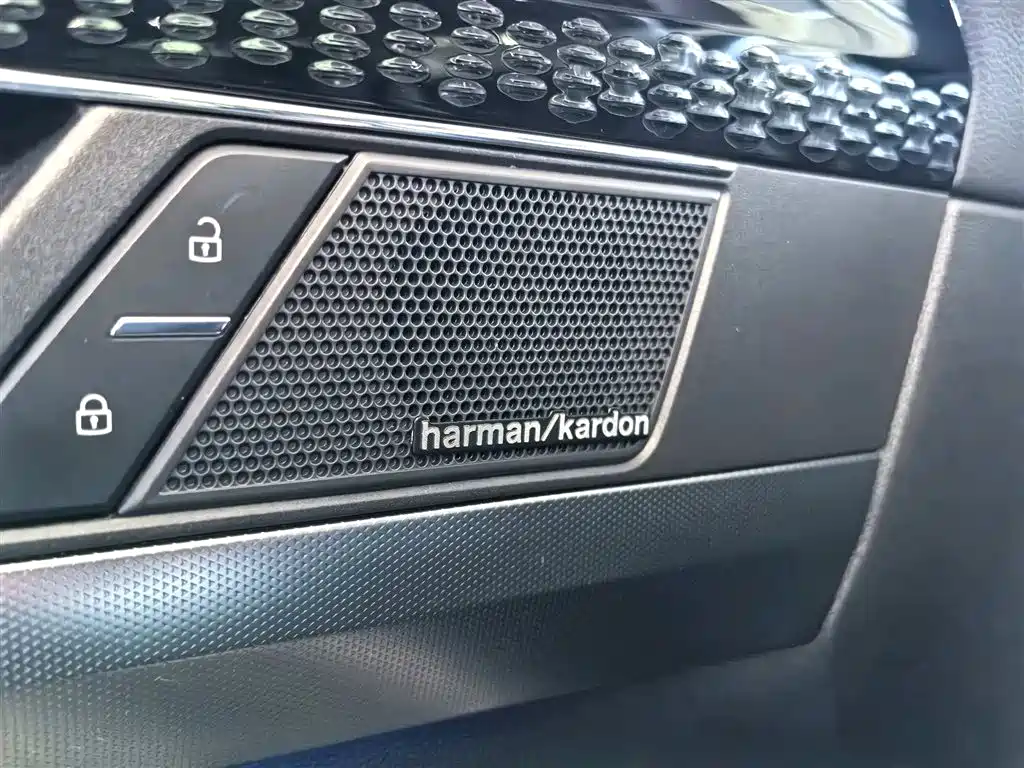 Volkswagen Passat 2022 330TSI Starlight Luxury Edition фото 13