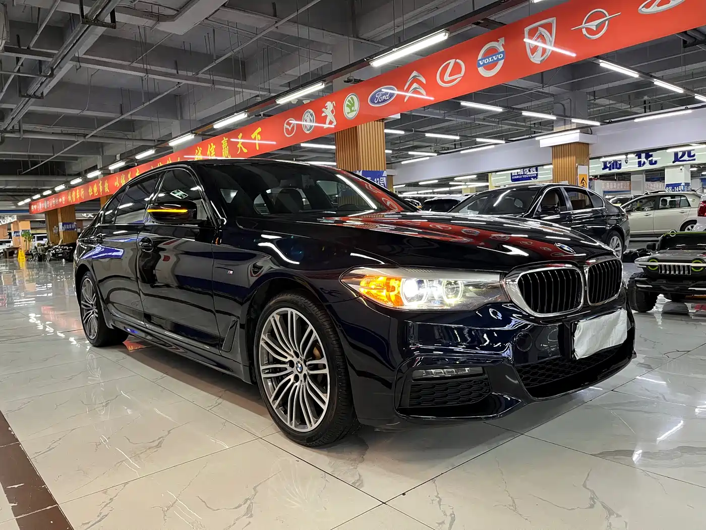 BMW 5 Series 2019 530Li xDrive Luxury Package фото 6