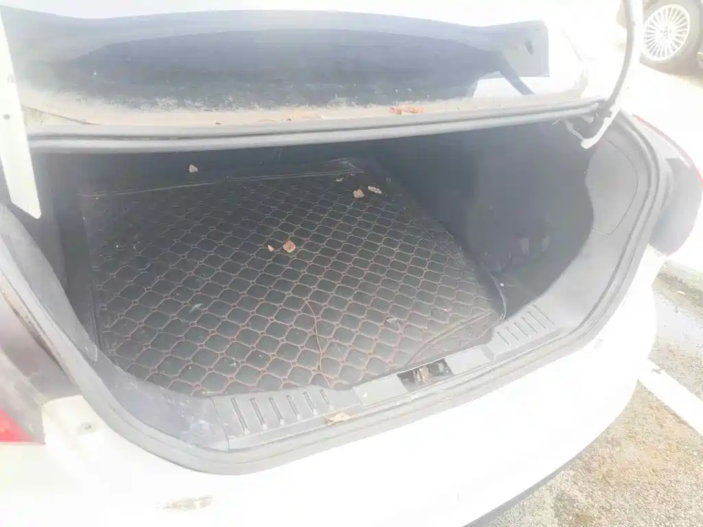 Photo 13 - Ford Focus