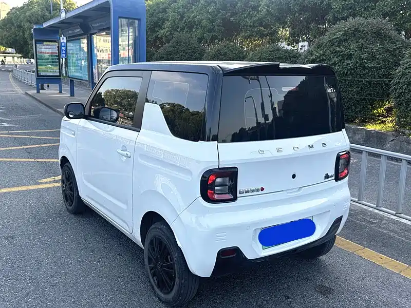 Geely Galaxy Panda 2023 Panda Mini 200km Endurance Bear фото 4