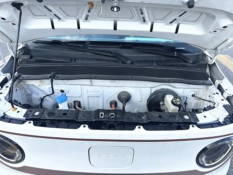 Geely Galaxy Panda 2023 Panda Mini 200km Endurance Bear фото 6