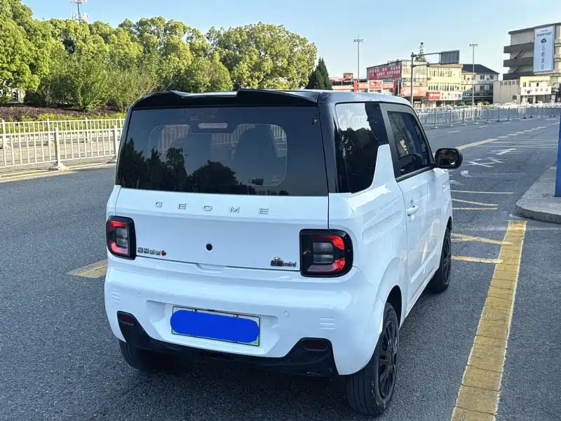 Geely Galaxy Panda 2023 Panda Mini 200km Endurance Bear фото 18