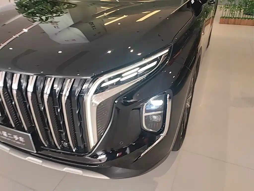 Hongqi HS7 PHEV 2024 2.0T PHEV 4WD Flagship Edition 6-seater фото 24