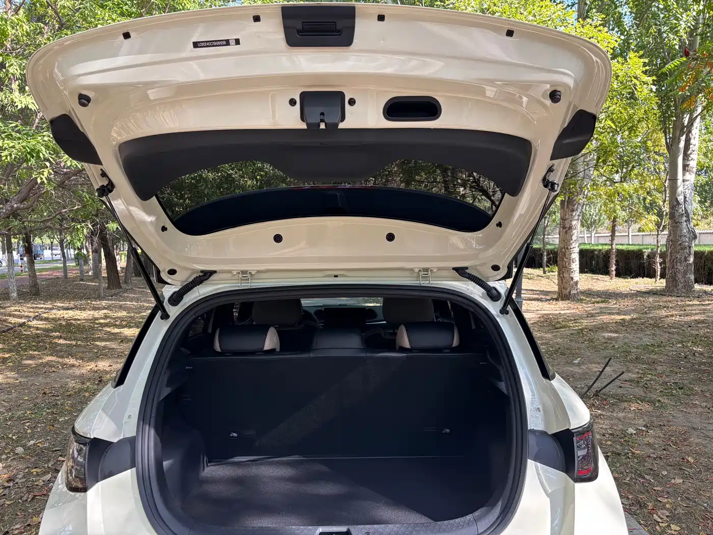 BYD Dolphin 2026 2025 Smart Drive Edition 420km Freedom Version