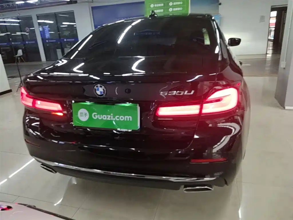 BMW 5 Series 2022 530Li Leading Luxury Package фото 6