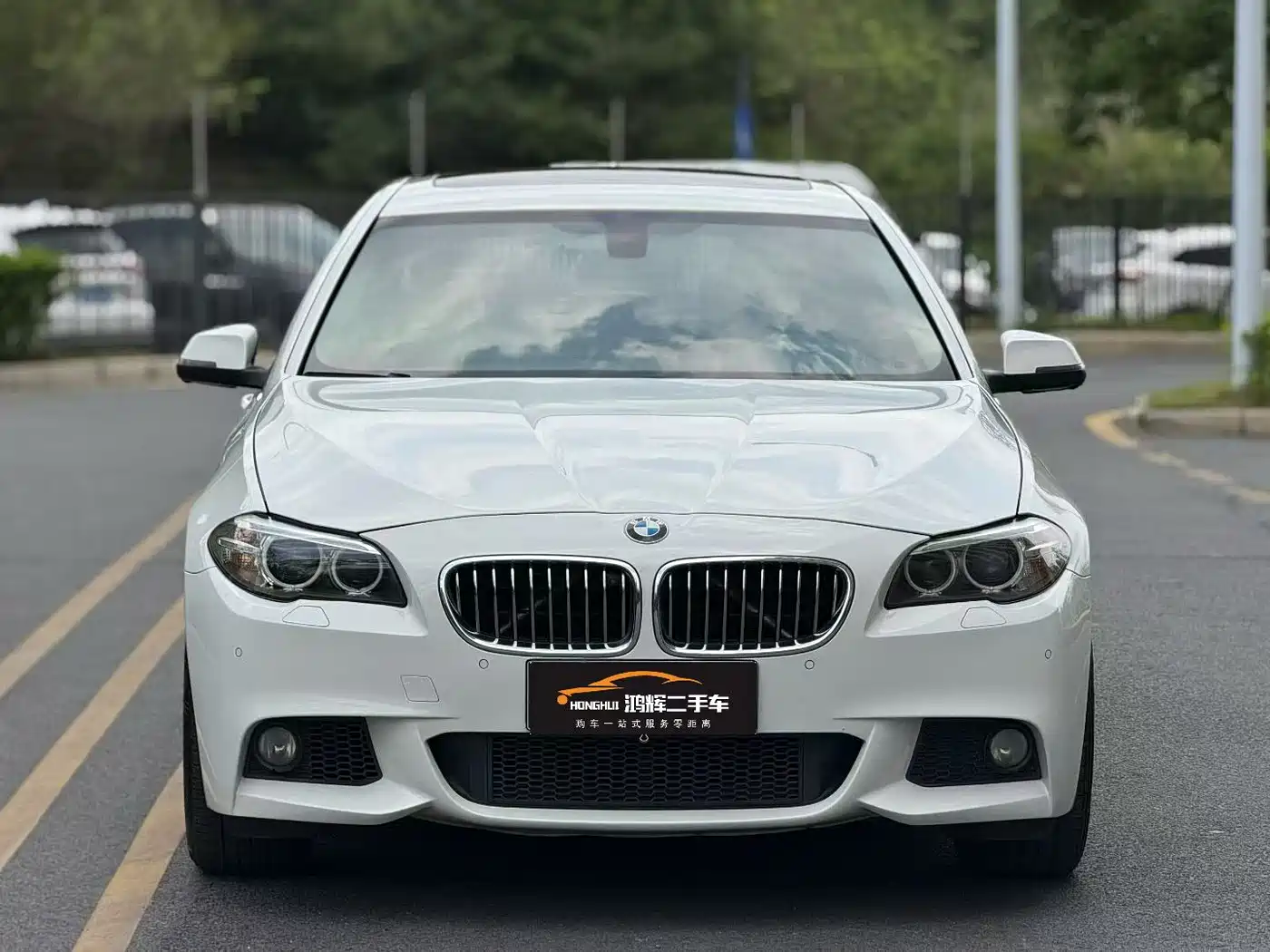 BMW 5 Series 2014 520Li Elegance фото 2