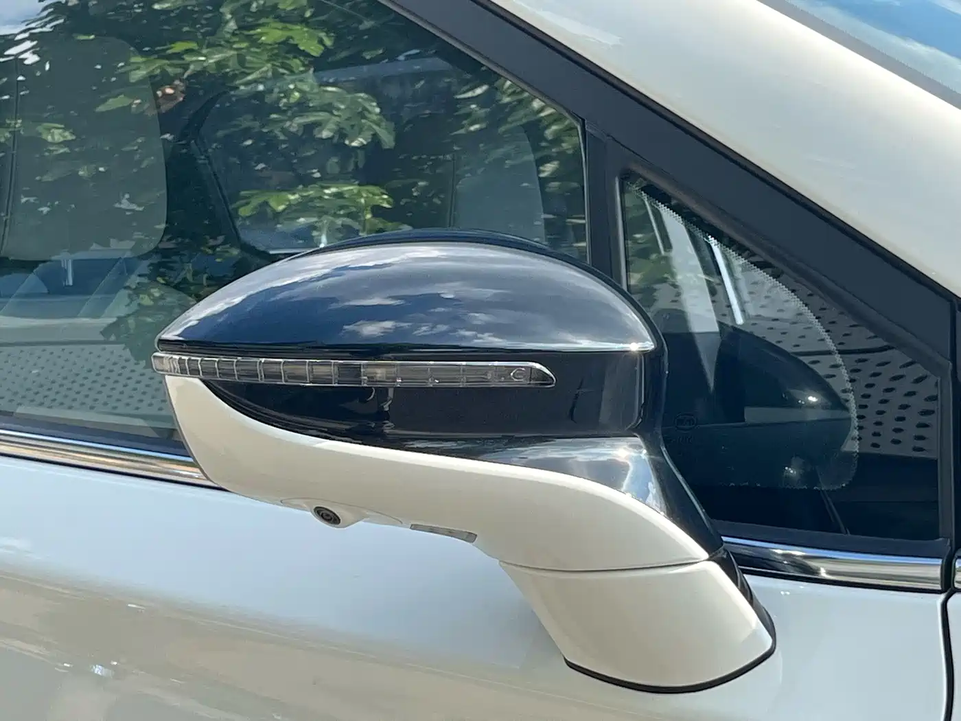 BYD Yuan Pro 2023 2023 401KM Premium