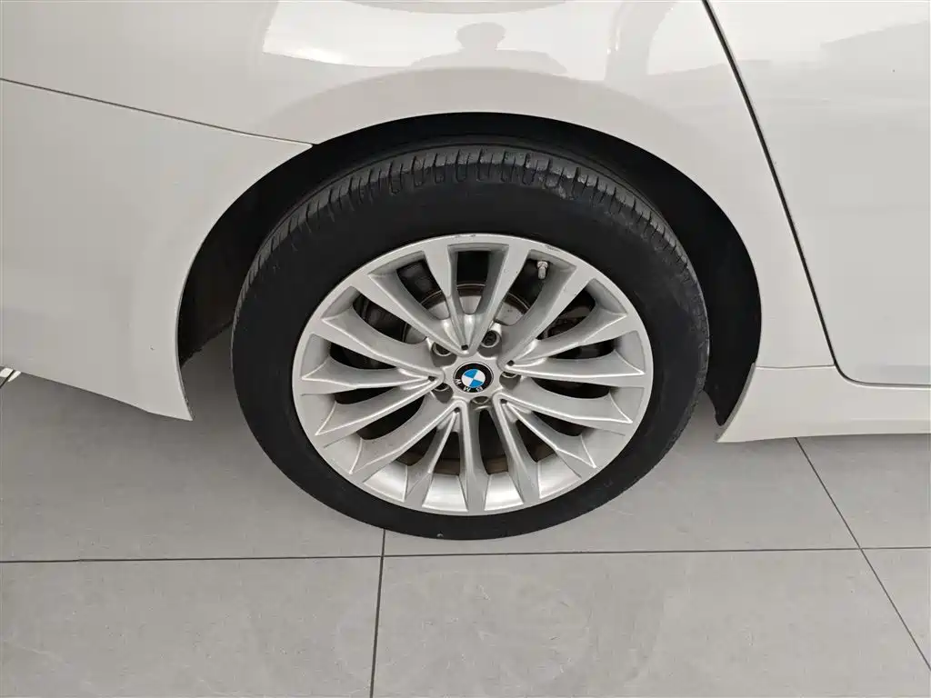 BMW 5 Series 2020 530Li Leading Luxury Package фото 26