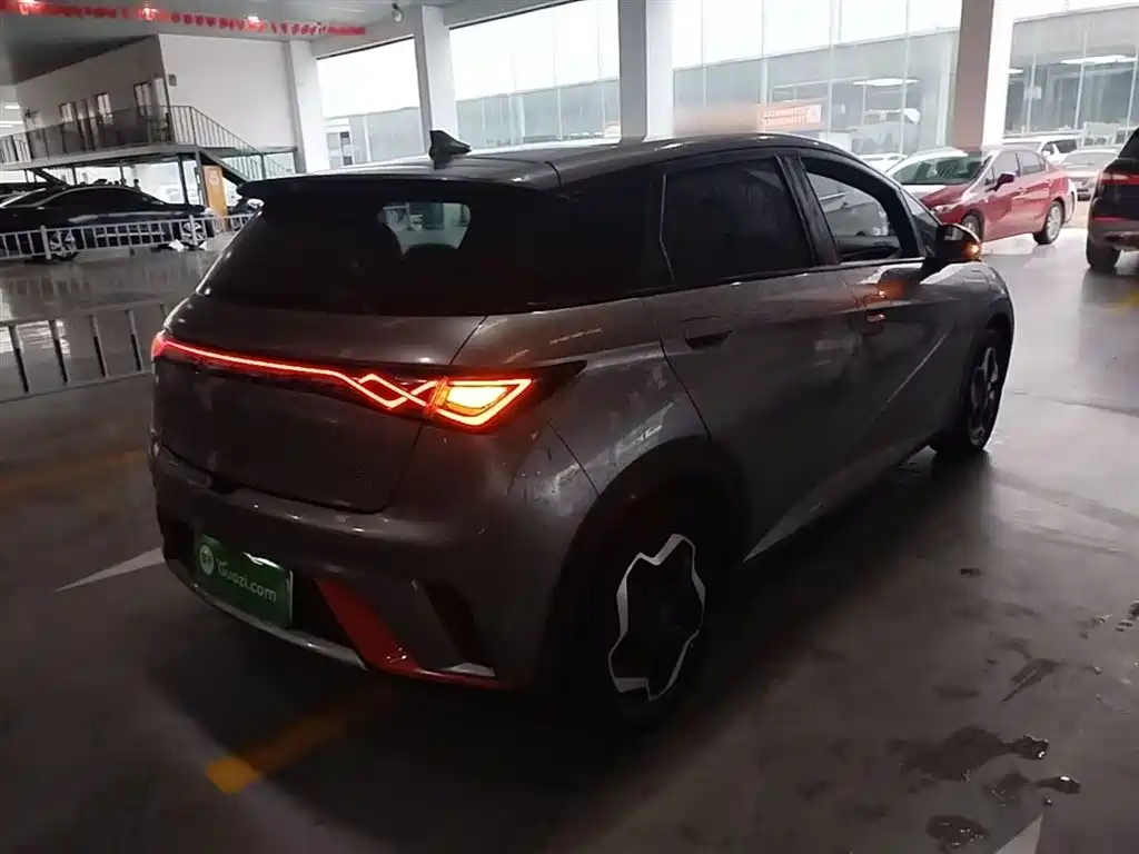 BYD Dolphin 2021 Model 405km Fashion Edition фото 7