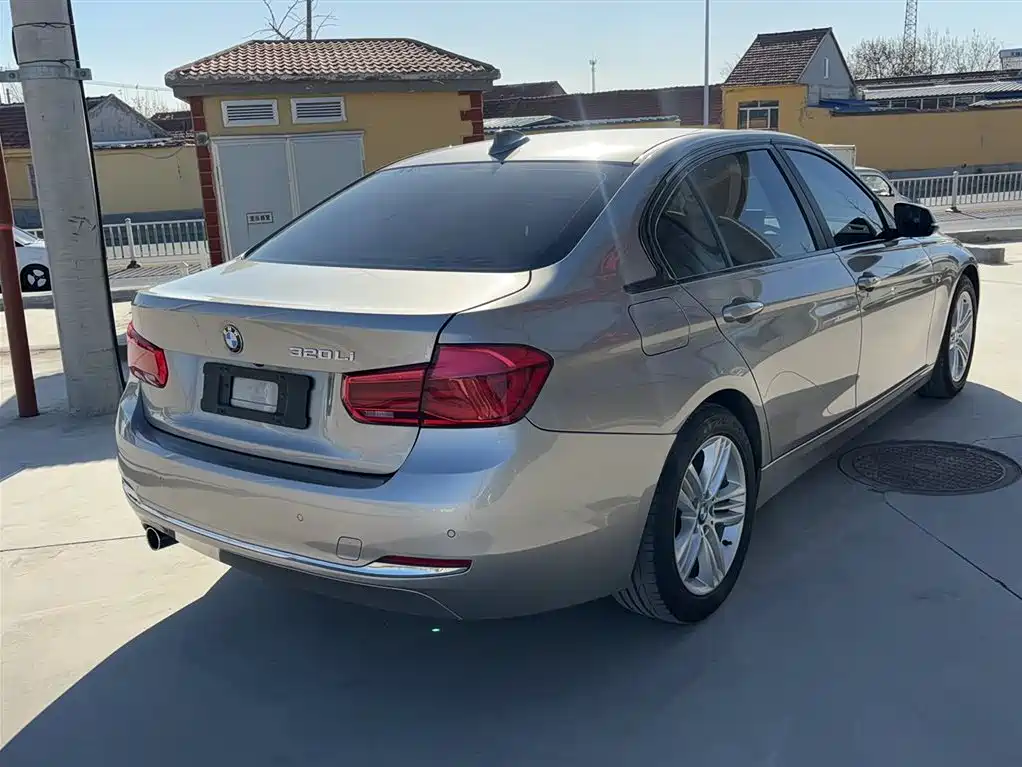 BMW 3 Series 2016 320Li Progressive фото 12