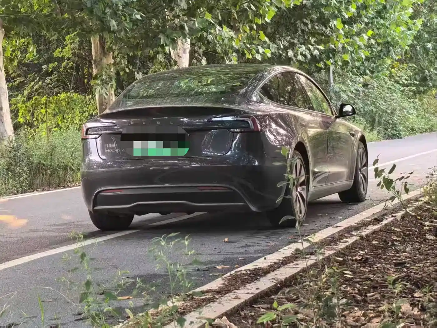 Tesla Model 3 2025 2025 Model Rear-Wheel Drive Edition