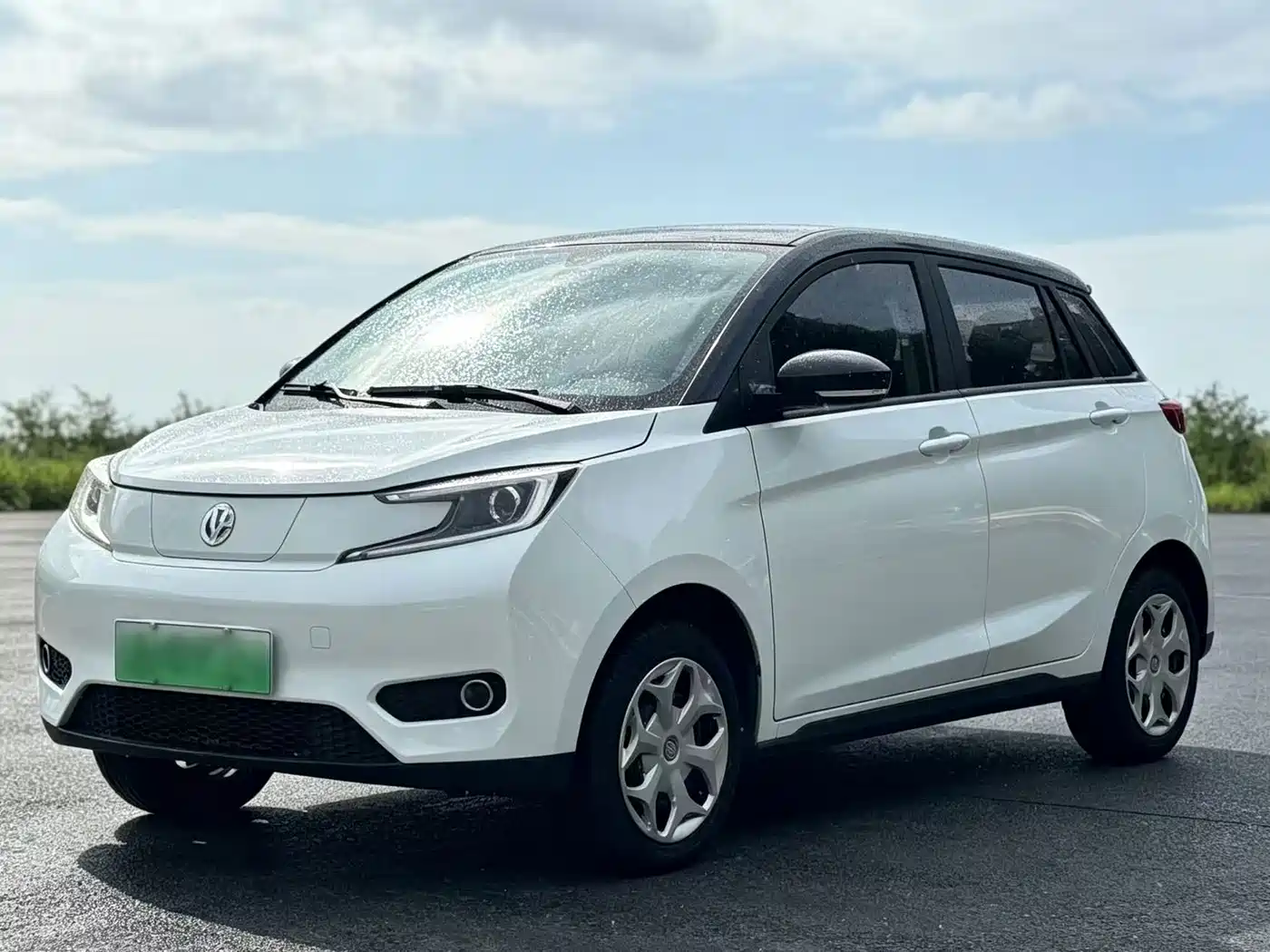 Electric House YOUNG Guang Xiaoxin 2022 2021 L400 4-Seater