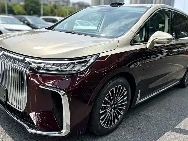  Voyah Auto Voyah Dreamer 2025 Model PHEV Basic Version