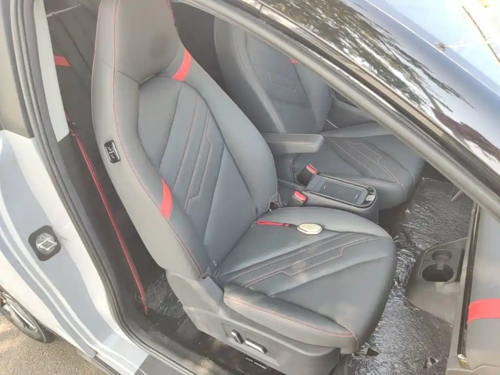 Chery New Energy Chery Wujie Pro 2023 2022 Model 301km Mythical Beast Edition LFP