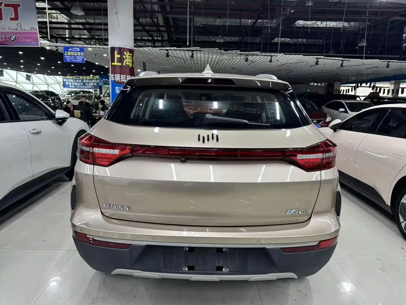 Weltmeister WEIMA EX5