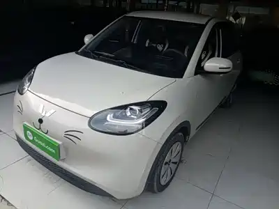Wuling Bingo