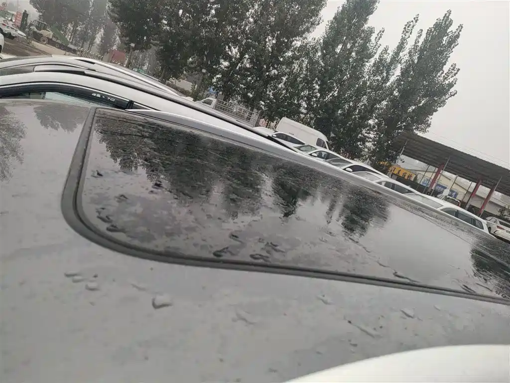 Hongqi E-HS9 2022 690km Qi Xiang Edition (6-seater) фото 27