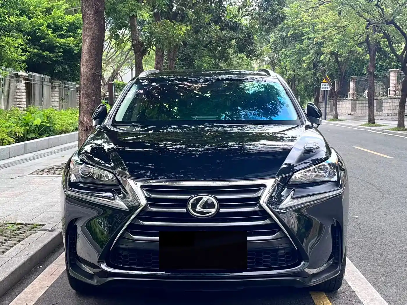 Lexus NX 2015 200t AWD F Sport фото 2