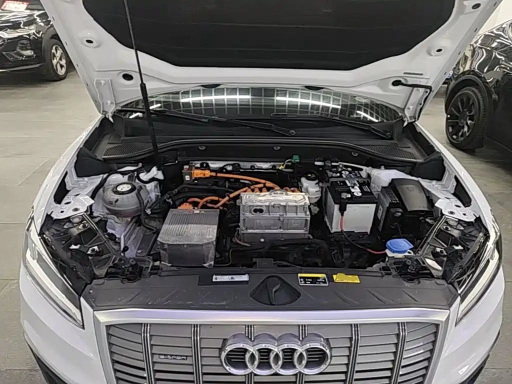Audi Q2L e-tron 2020 2019 Q2L e-tron Pure Electric Smart Cool Edition